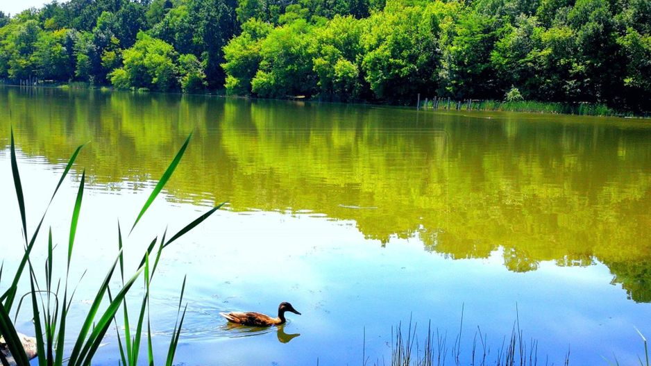 Apartament NOU 2 camere decomandat Lacul Venetia - Tatarasi - Poză 23