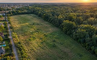 TEREN PREMIUM DE VÂNZARE | TUNARI – PRIMA LINIE LA PĂDURE - Poză 3