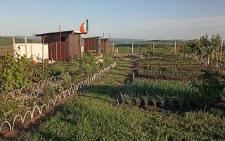 Teren Intravilan 470 mp   Horlești, Comuna Rediu (Proprietar) - Poză 1