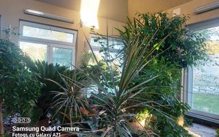 Casa lux cu 5 camere in Rontau - Poză 24