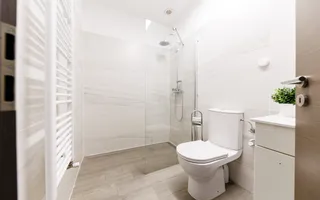 Apartament 2 camere, parter, renovat, curte proprie 50 mp- Piata Iuliu Maniu - Poză 15