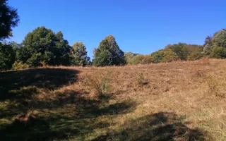 Teren Extravilan 20.000Mp I Stoenești -Vâlcea I Apă Curentă și Pădure - Poză 15