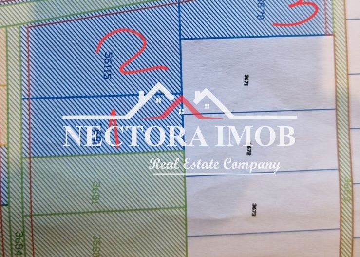 NECTORA IMOB-3 PARCELE DE 900,1056,1350 mp, Zona Paleu, limita Oradea - Poză 3