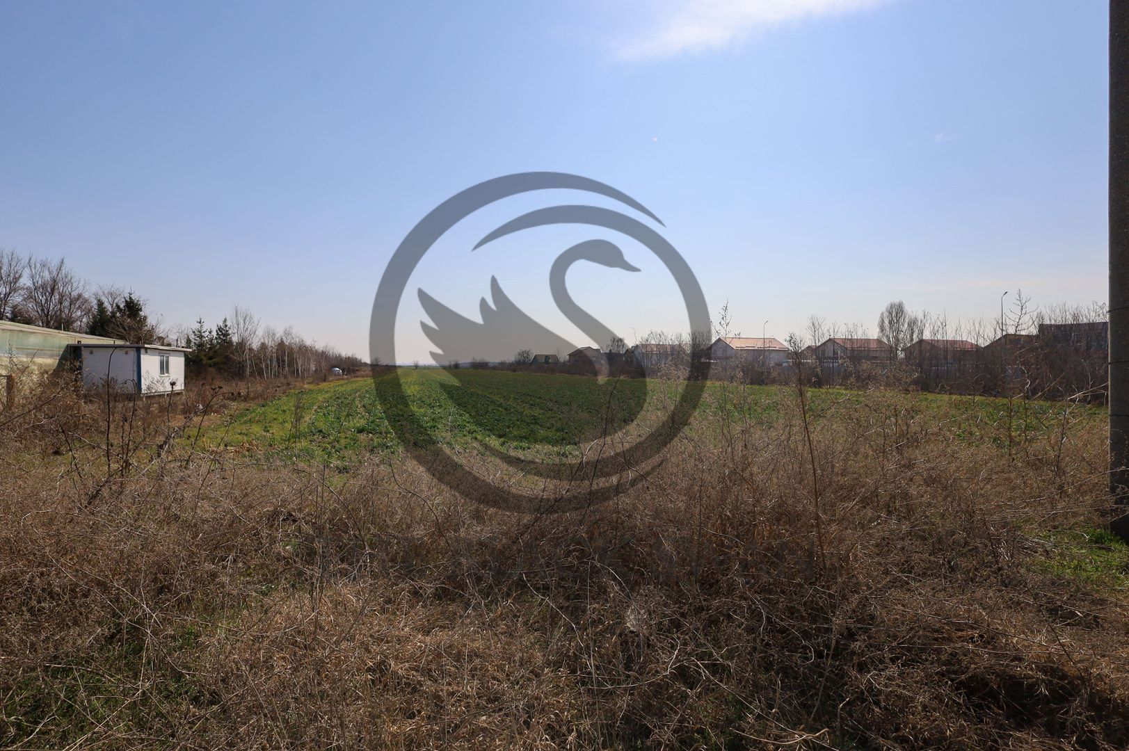 Teren de vanzare/inchiriere | 7800mp | Parcul Industrial | COMISION 0% - Poză 3