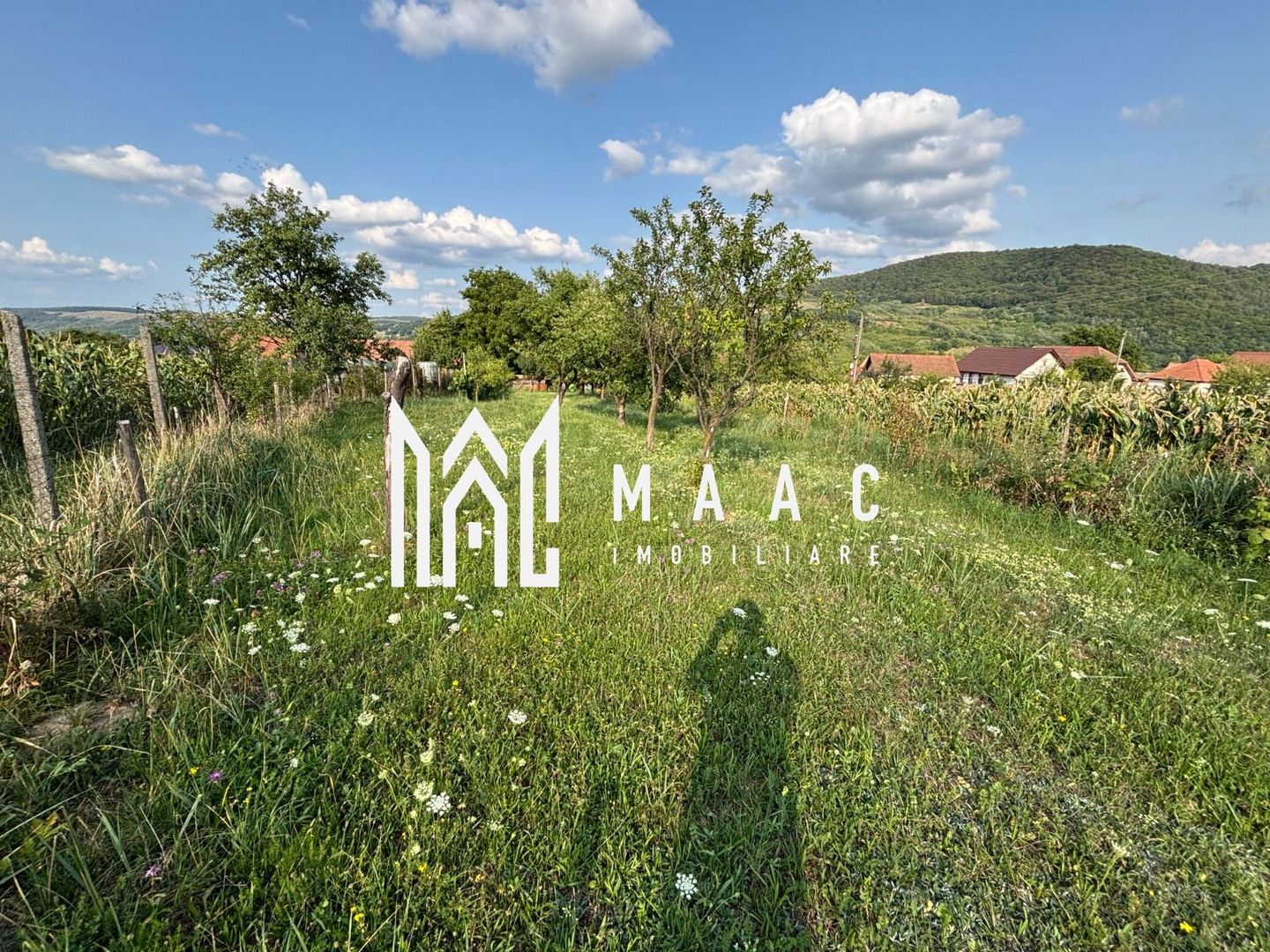 Casă 4 camere | 133 MPU | Acces auto | Pianu de Sus - Poză 23