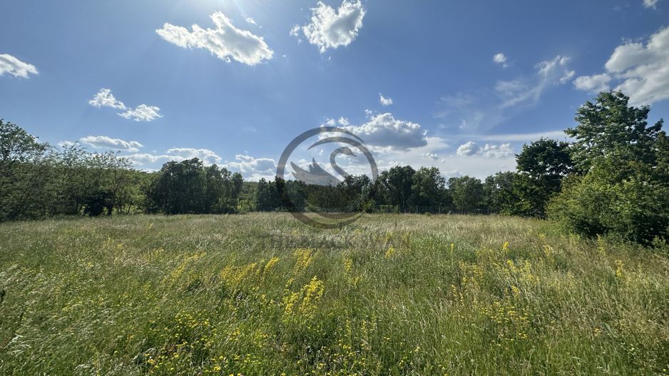 Teren intravilan de vanzare | 11.000 mp | Ghirdoveni | Comision 0% - Poză 11