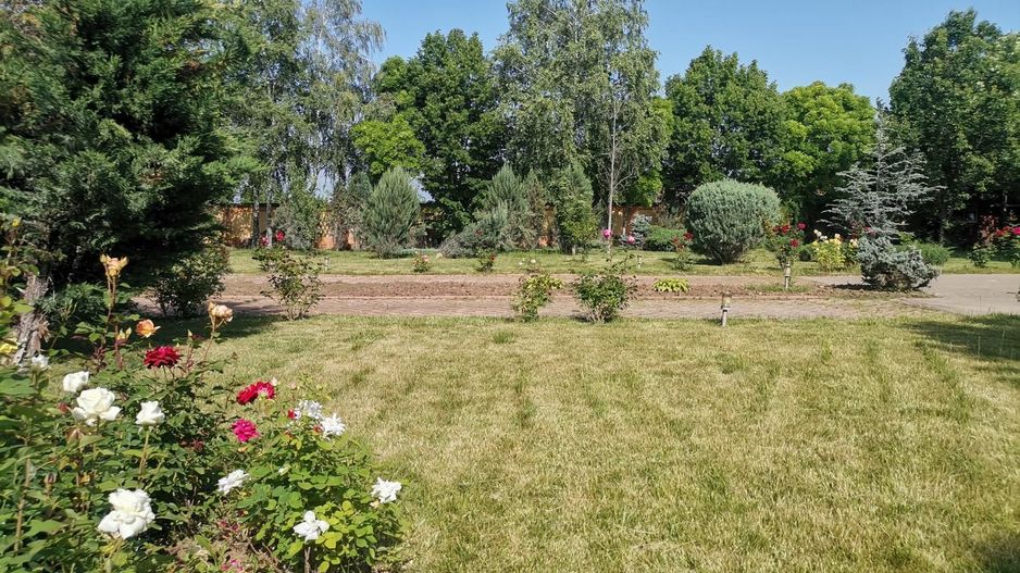 Vilă de lux mobilata/utilata cu terasa+foisor, garaj,gradina si livada - Poză 14