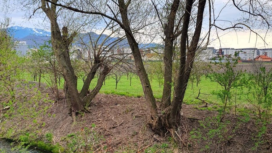 Apartament spațios, luminos și pet-friendly – 2 camere, Bartolomeu, Brașov - Poză 19