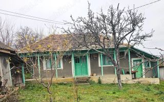 Casa + teren generos 5000 mp intravilan cu livada tanara si vita de vie productiva. - Poză 1