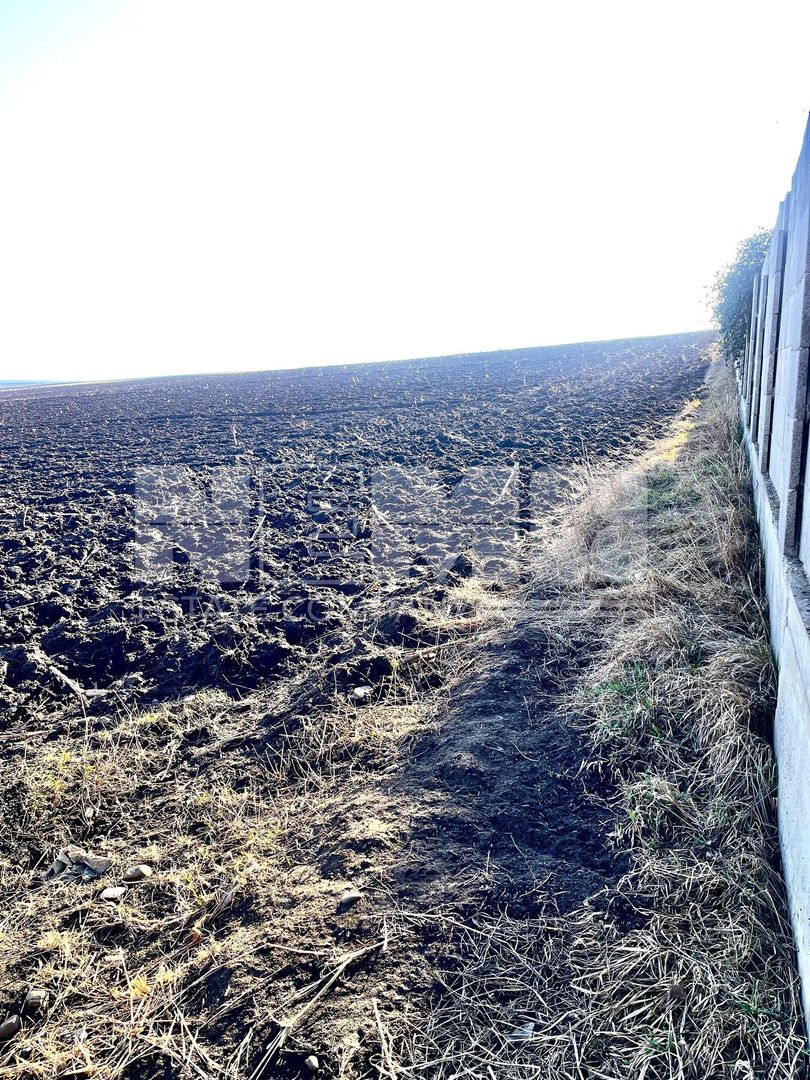 Teren I Suceava I Moara Nica I 2500 Mp I 54.900 Euro - Poză 6