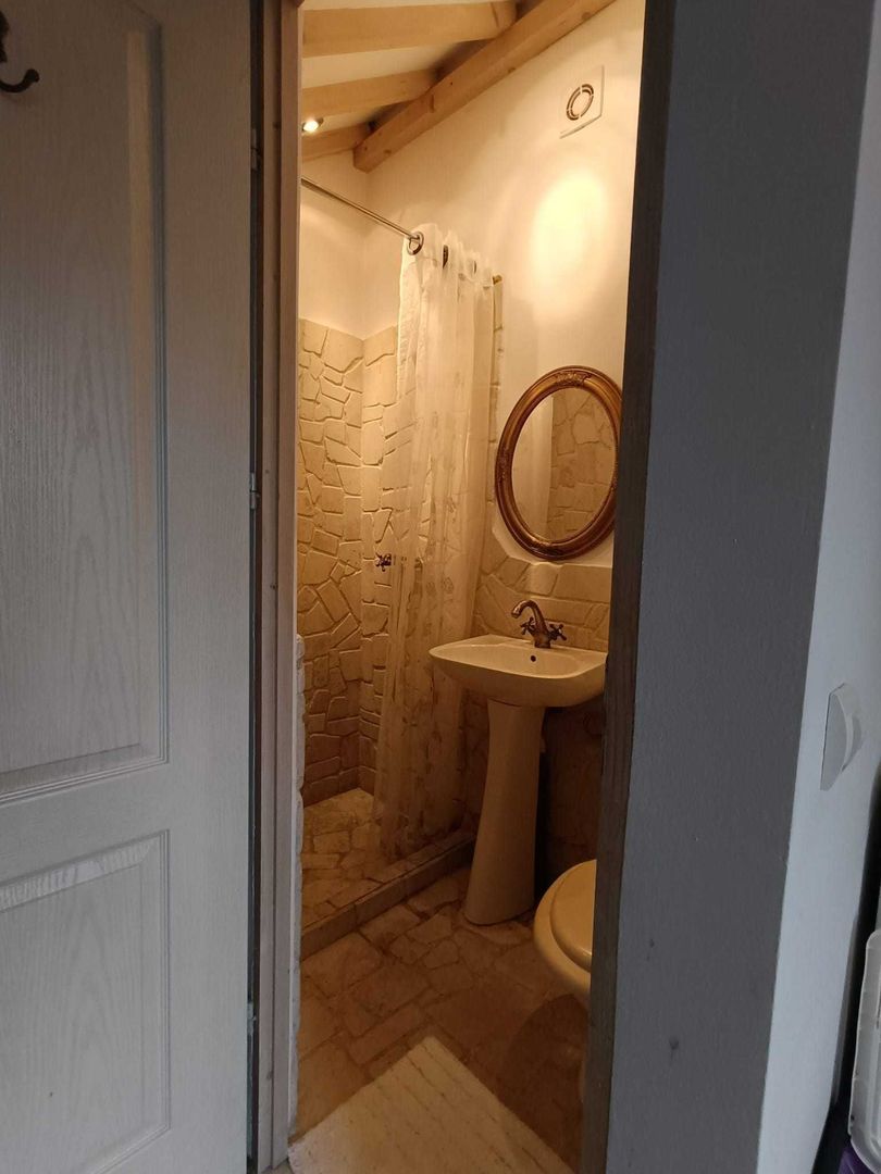 Garsoniera cu terasa proprie in vila interbelica | 20 mp + 16 mp terasa | Centru - Poză 7