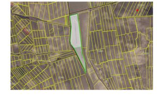 Teren agricol de vânzare – 6,8 hectare cu lac propriu și casă, Nisporeni - Poză 8
