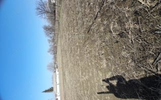 Loc de casă în Prisecani, comuna Popricani - Poză 3