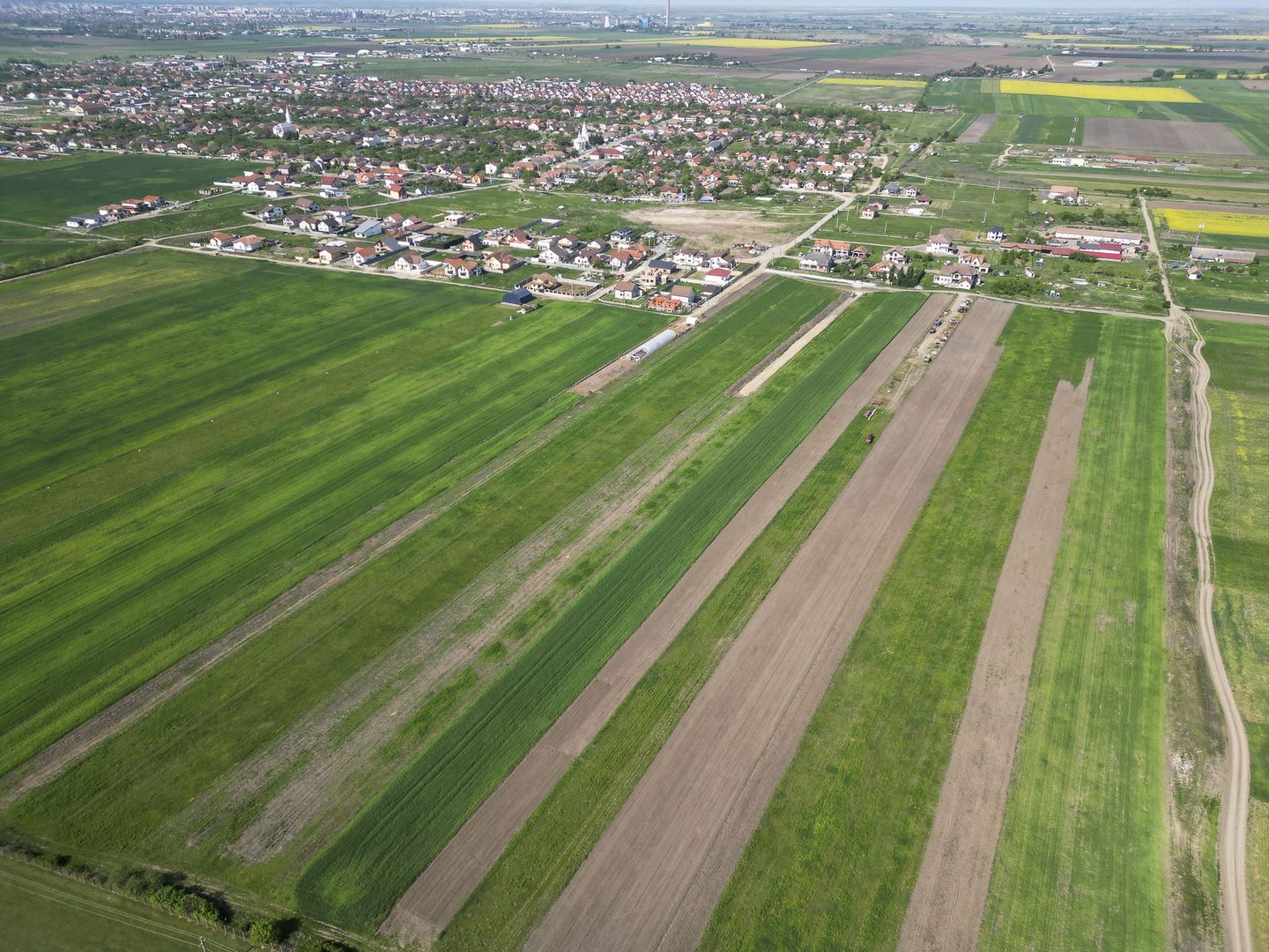 Loc de casa de 504 mp în Livada - Poză 11