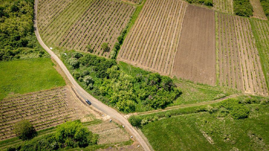 Teren extravilan - 3654 mp Dealul Șiriei - Poză 8