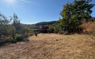 CASA DE VACANTA CU TEREN GENEROS, VALE – SALISTE - Poză 8