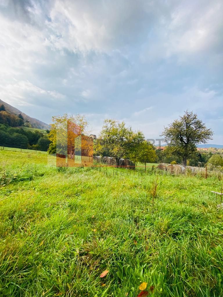 Casa + teren 1700 mp langa Padure Bran/ Predelut - Poză 4