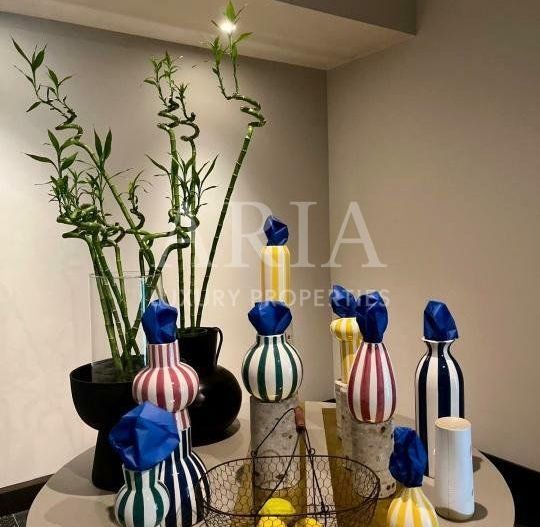 APARTAMENT 4 CAMERE GRADINA 175M2  CISMIGIU - Poză 9