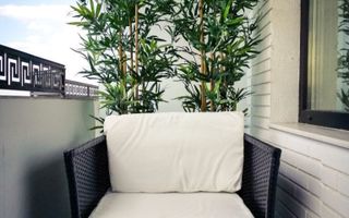 Apartament 3 camere, Copou – Aleea Mihail Sadoveanu, Iași - Poză 15