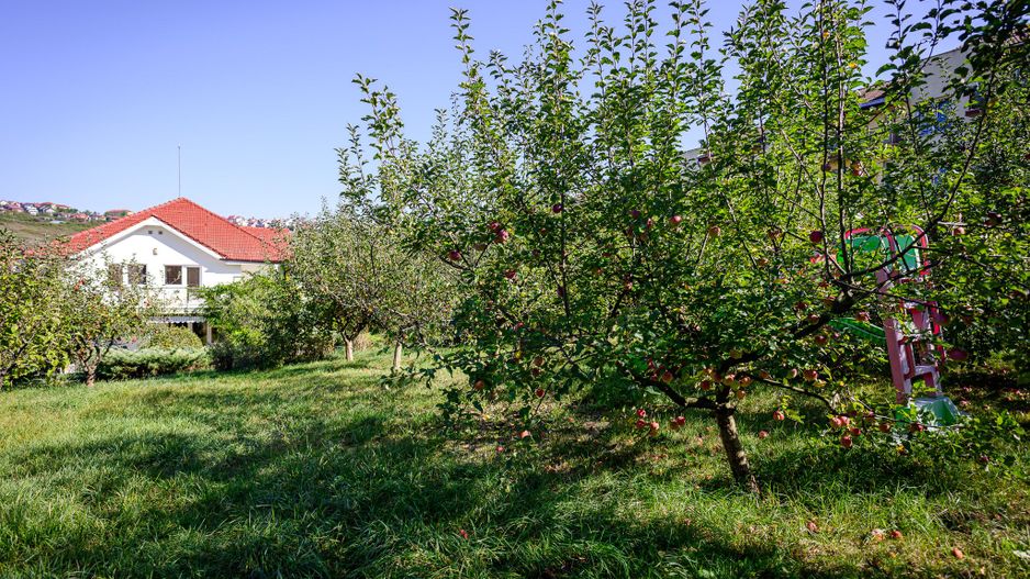 CASA Individuala ELEGANTA 300MP Teren 2150MP CAMPULUI - Poză 14