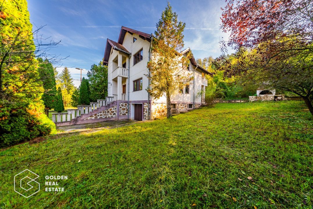 Casa de vacanta, localitatea Cladova, ideal pozitionata - Poză 23