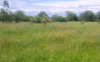 TEREN DE VÂNZARE 1000 MP ȘELIMBĂR ZONA TROIȚĂ | INVESTIȚIE - Poză 4