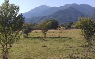 Teren intravilan imprejmuit pe o suprafata de 23.200mp, Rasnov, Brasov - Poză 6