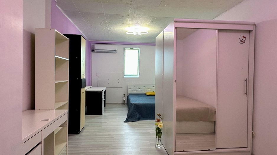 Fizicienilor - Lacramioarei, 3 camere 67 mp, pod 40 mp, modernizat - Poză 6