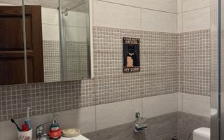 Casa insiruita cu 3 camere in Dumbravita - Poză 11