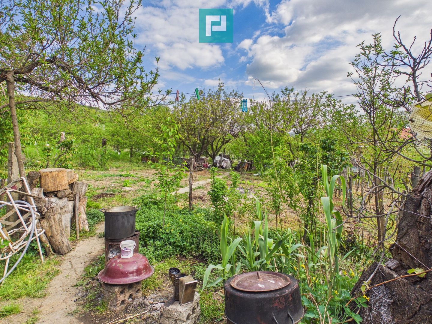 Casă cu 3 camere și teren generos în Drauț - Poză 14