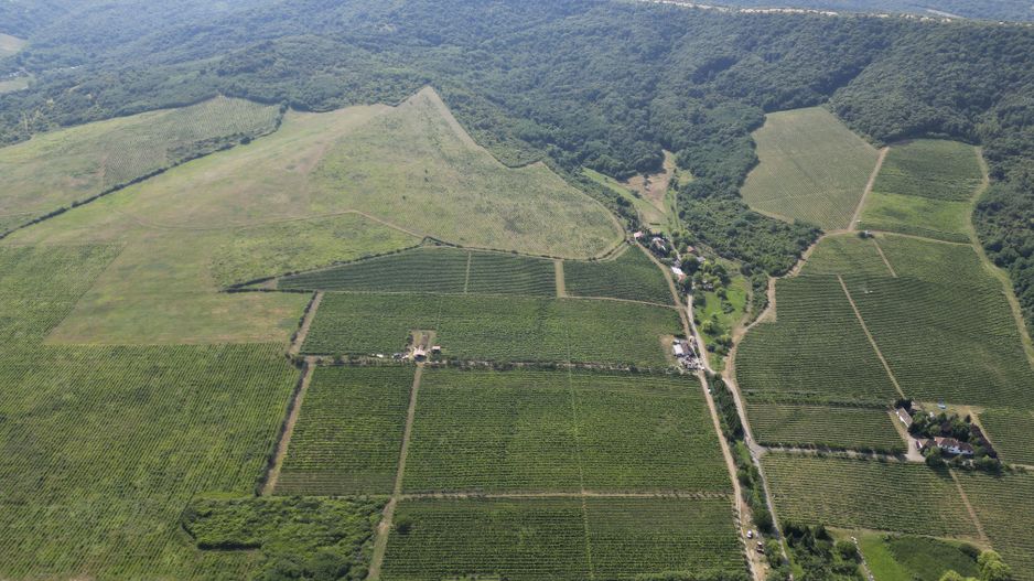 Vie Tradițională „Halta Lupilor” - Poză 35