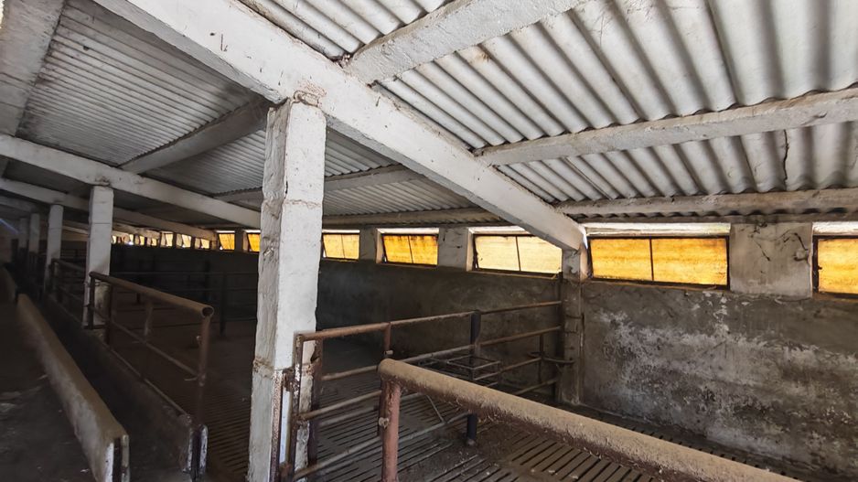 Spațiu industrial -fermă Orțișoara - Poză 3