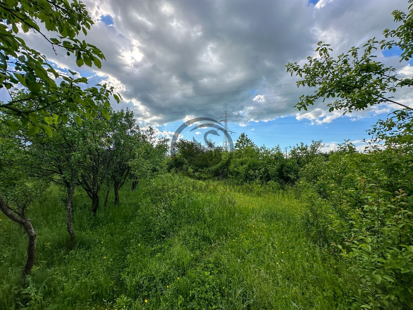Teren de vanzare | 3.600mp | Valeni de Munte, Prahova | Comision 0% - Poză 4