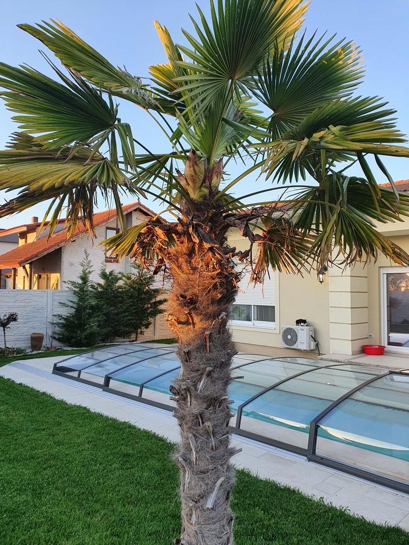 Casa individuala pe plan parter in Sanandrei - Poză 5