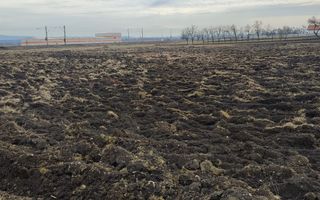 Oportunitate investitie 5 parcele teren intravilan ideal case/servicii-Rascruci - Poză 4