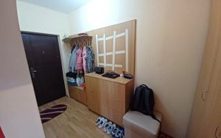 Apartament 3 camere, etaj internediar, finisat, zona str Constantin Brancusi - Poză 17