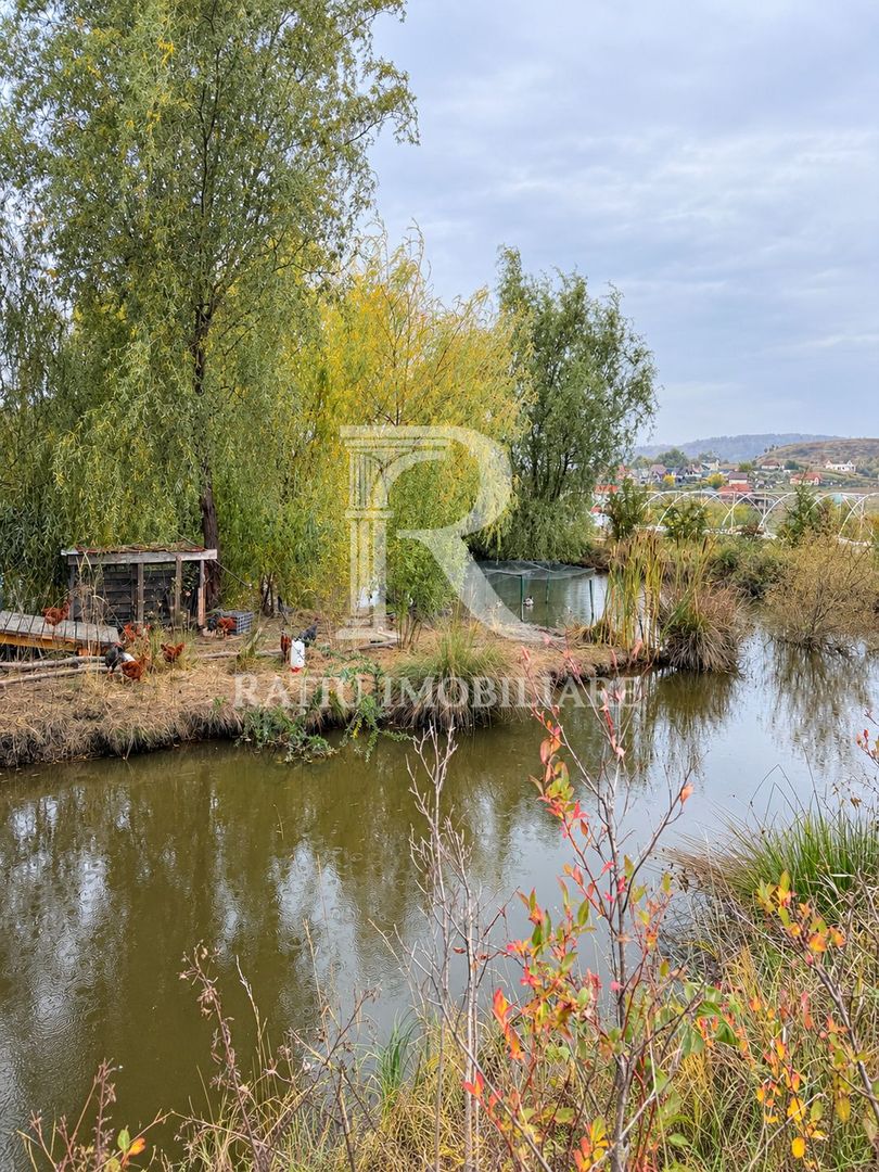 Afacere agricolă la cheie | Plantație afine | Solarii | 18.800 mp - Poză 2