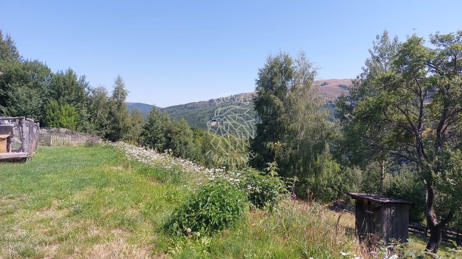 Teren extravilan investiție Rachitele Cluj - 31.555 mp - Poză 6