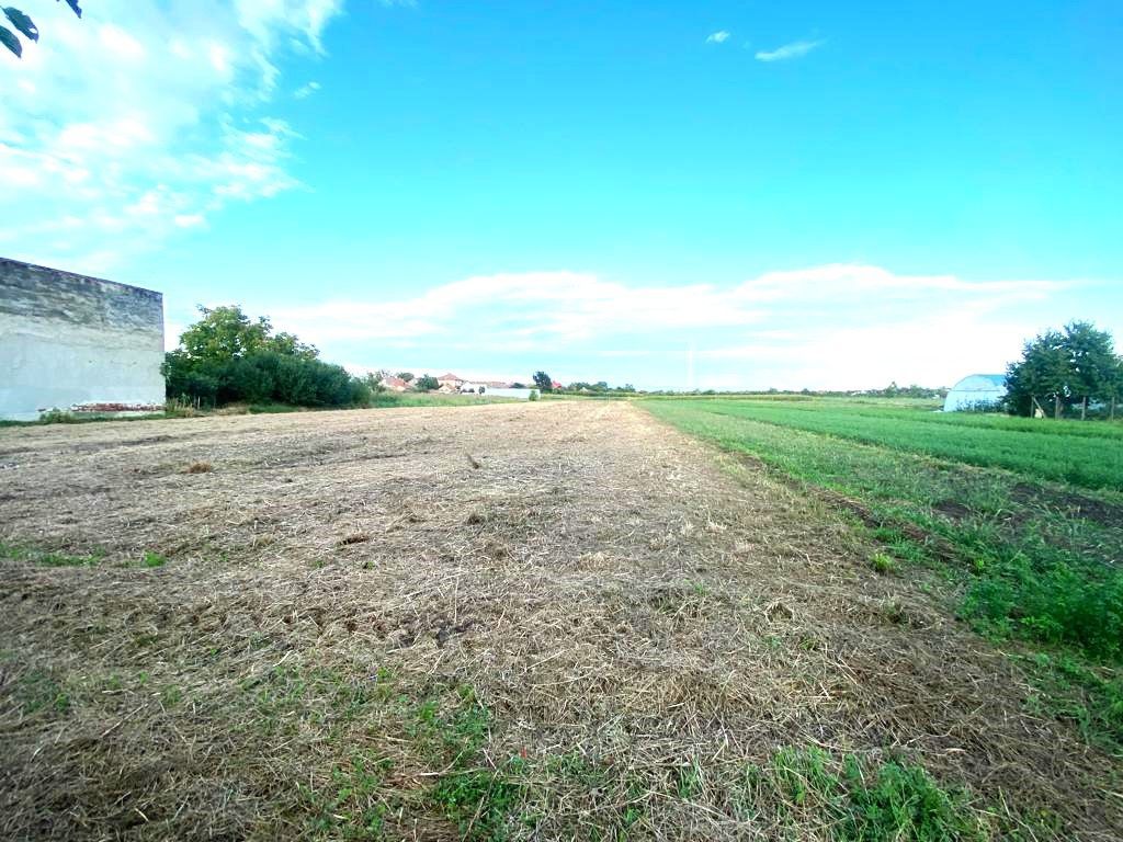 Terenuri de vânzare Boldur - Poză 2