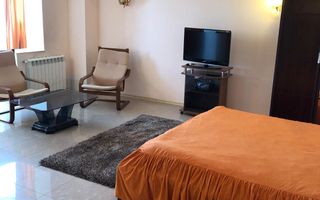 🏡 Apartament 1 camera cu vedere panoramică la Dunăre - Poză 4