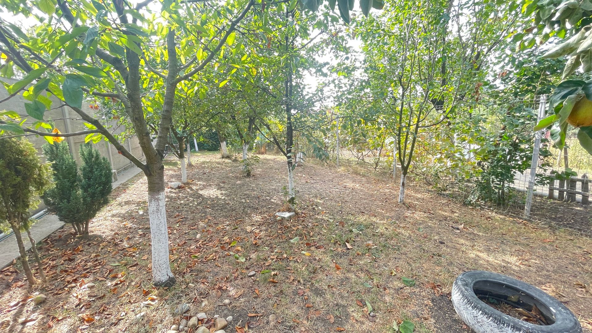 Casa de vanzare zona Bogdanesti - Poză 3