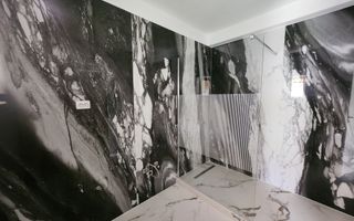 De vanzare casa tip insiruit 4 camere, 180 mp teren zona Alba Micesti - Poză 5