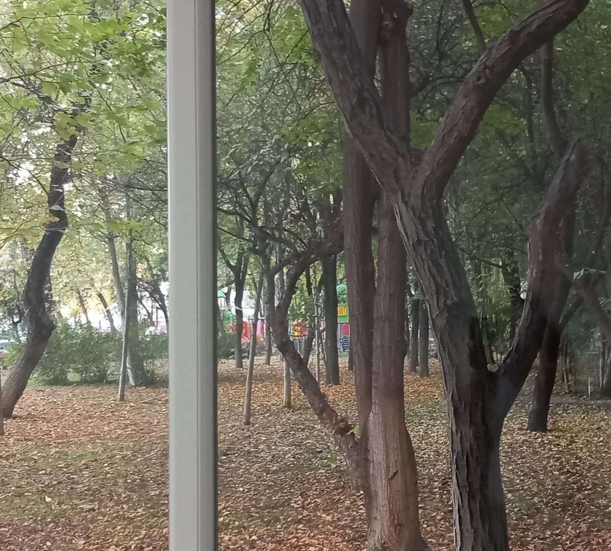 De inchiriat garsoniera , Berceni - Poză 7