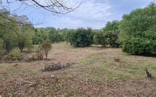 De vanzare casa 6 camere 8142 mp teren in Oarda de Sus - Poză 27