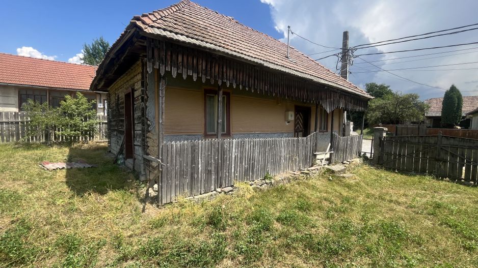 GRADINA BUNICII DE ODINIOARA,DE VANZARE -PAPAUTI,COVASNA. - Poză 9