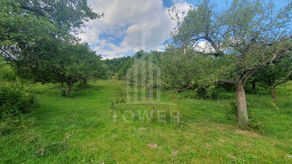 Teren extravilan de vânzare – 2.110 mp în Sibiel - Poză 4