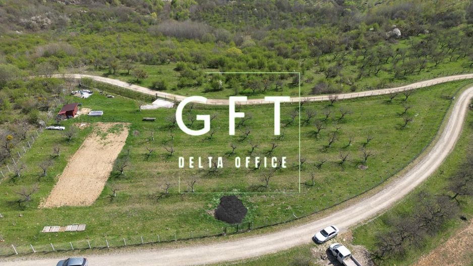 Teren 4850 mp - EXTRAVILAN - Slatinita - Poză 1