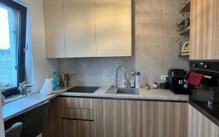 Duplex exclusiv în Mehala – Spațiu, eleganță și eficiență energetică - Poză 4