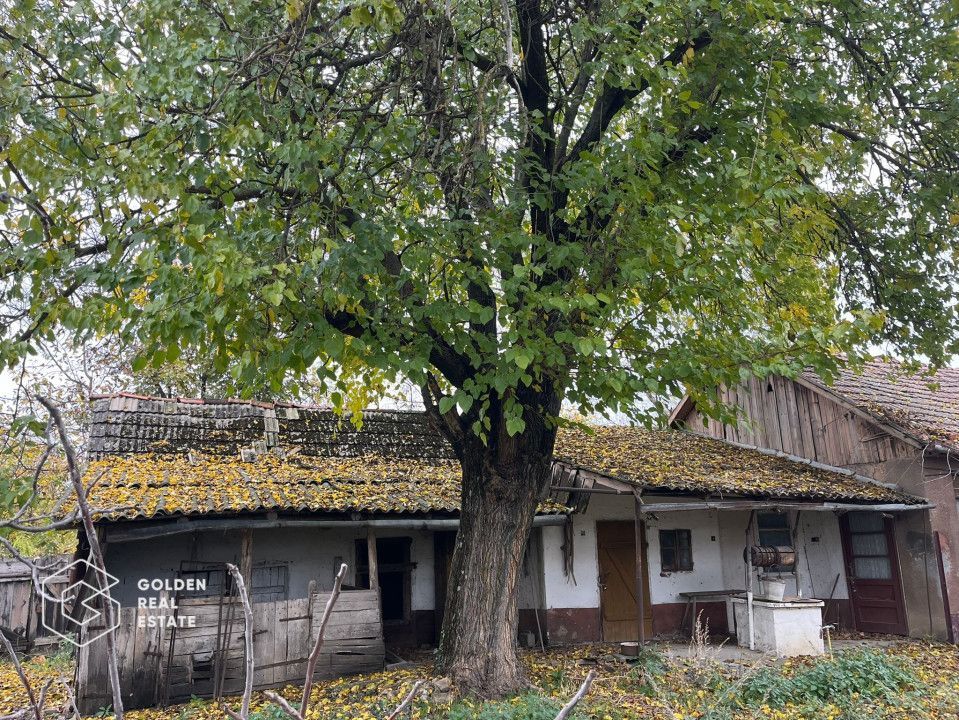 Casa traditionala cu gradina de 2200 mp, Peregu Mic - Poză 6