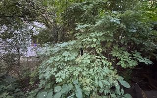 Teren și casă de vânzare în Miercurea Ciuc, zona L1u (strada Leliceni) - Poză 26